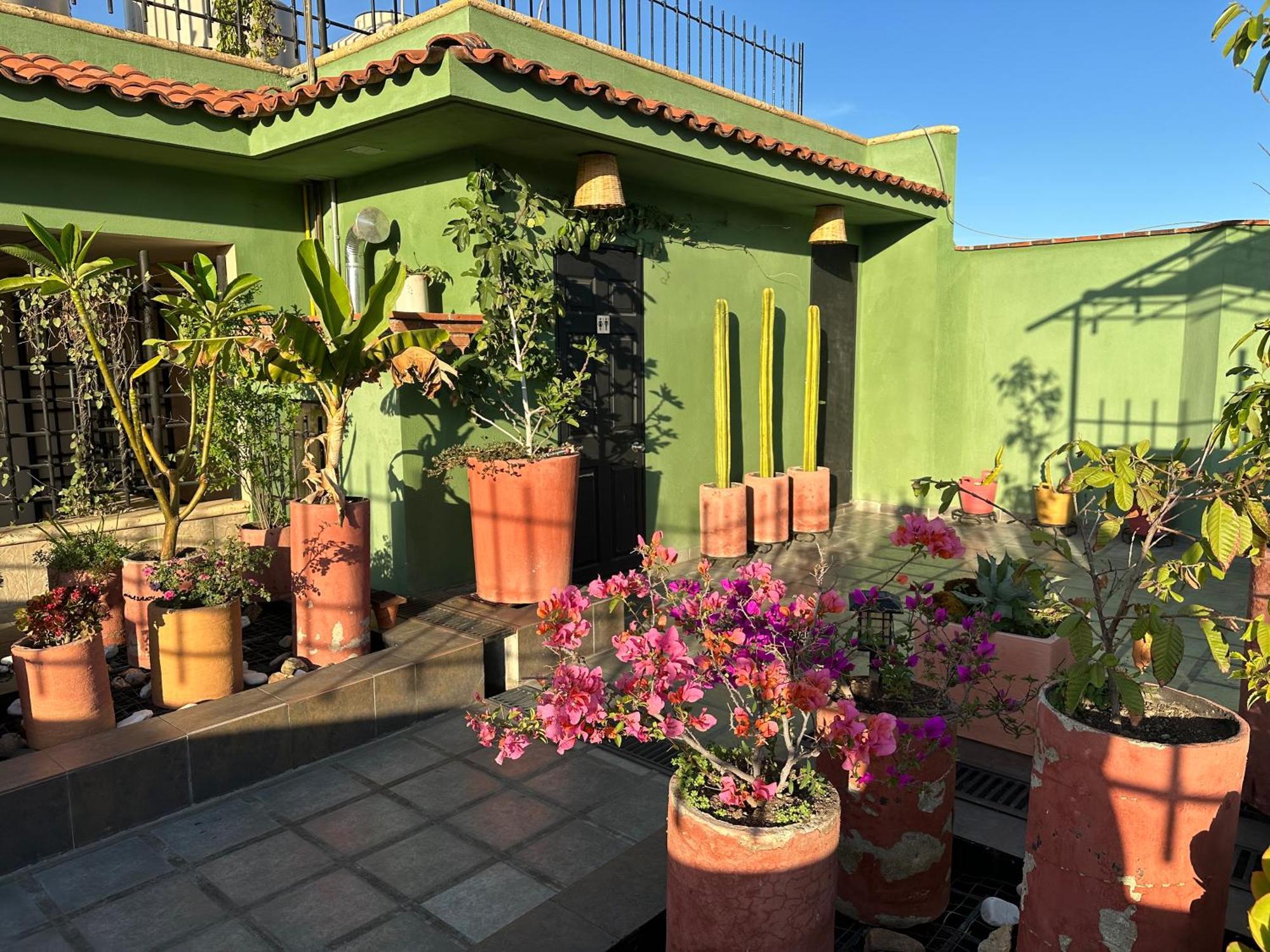 Hostal Nordes Oaxaca Dış mekan fotoğraf